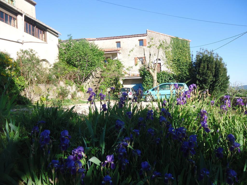 La Colline Bleue Bed and Breakfast Banne Eksteriør billede